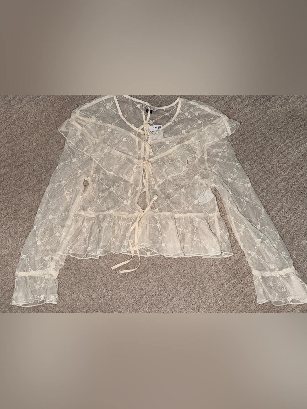 Sheer Embroidered Tie-Front Top in Ivory